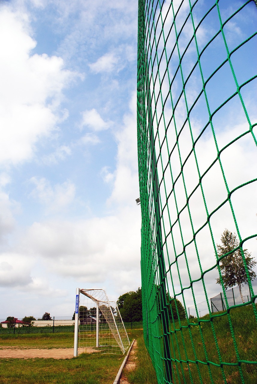 还能增强社 还能增强社