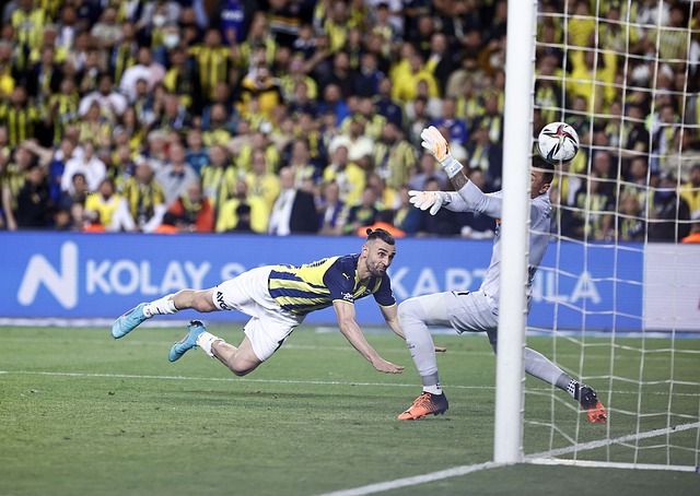 表现出更高 表现出更高