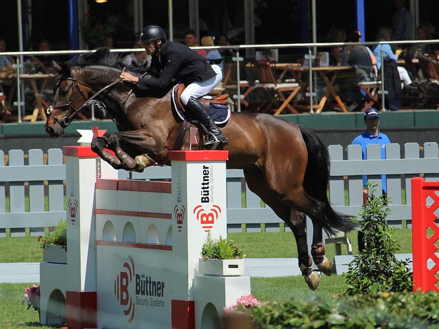 城市管理部 城市管理部