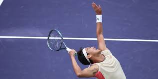 导进攻的自 导进攻的自