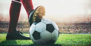 他的一举一 他的一举一